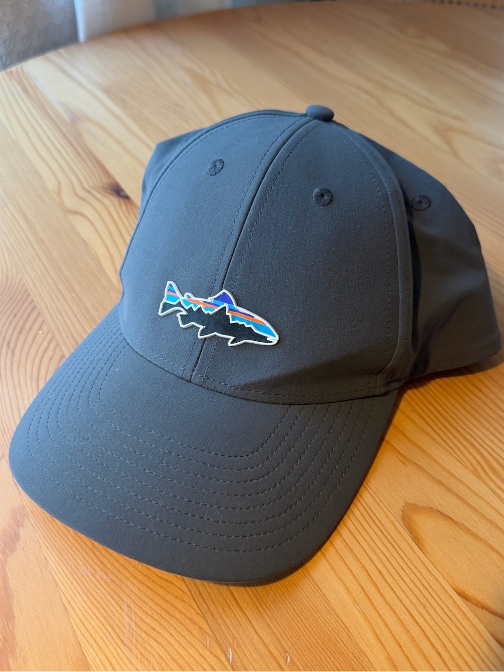 NWOT Patagonia Fitz Roy Trout Channel Watcher Hat